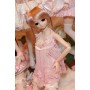 Dollfie Dream Lace Lingerie Set with Pink Braid Wig
